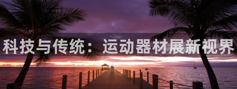 678体育官方正版app集团官网网址：科技与传统：运动器材展