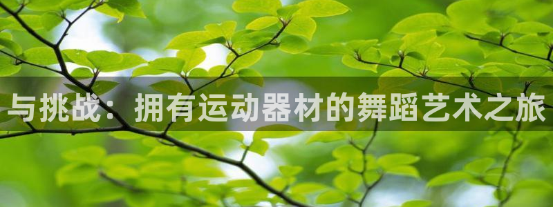 678体育官网下载平台注册要钱吗：与挑战：拥有运动器材的舞蹈