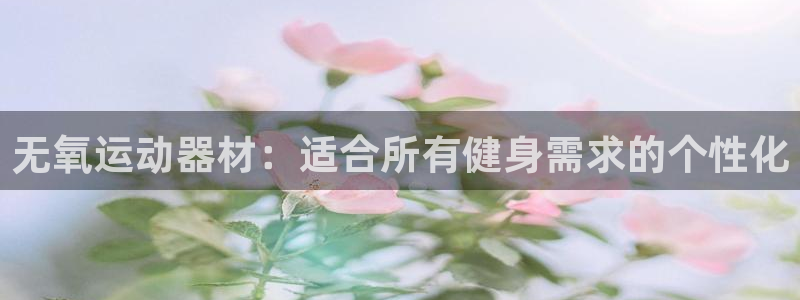 678体育官网下载平台APP：无氧运动器材：适合所有