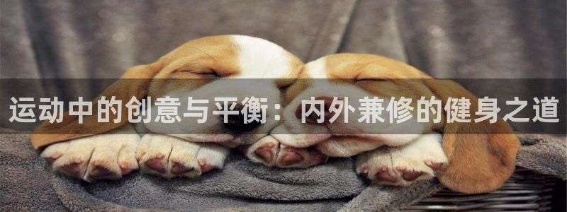 678体育官网下载官方客服电话：运动中的创意与平衡：