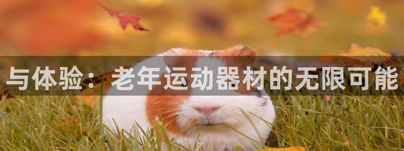 678体育官网下载招商电话是多少：与体验：老年运动器