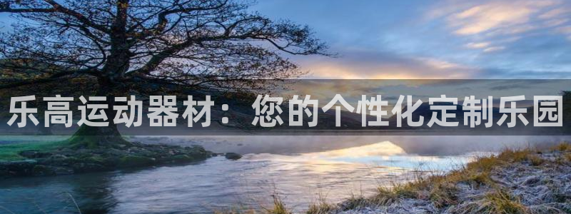 海南678体育官网下载：乐高运动器材：您的个性化定制乐园