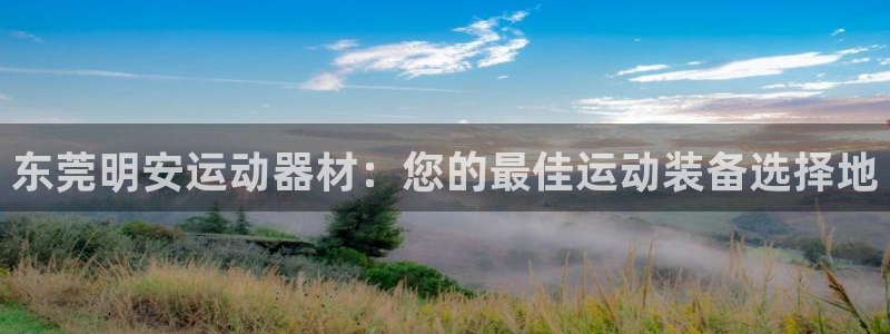 678官方集团官网：东莞明安运动器材：您的最佳运动装备选择地