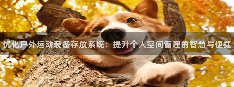 678体育官方正版app开户：优化户外运动装备存放系统：提升