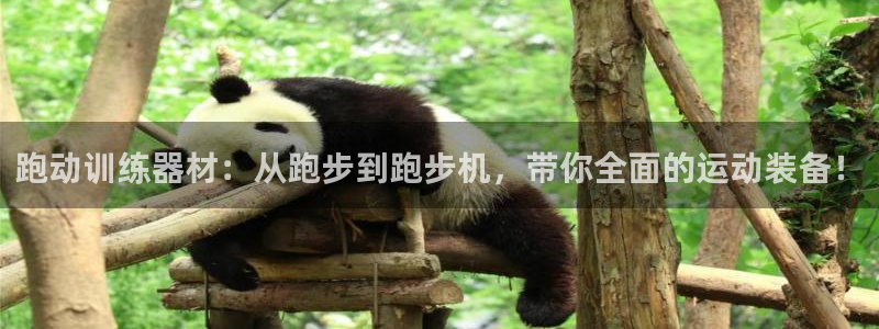 678体育官网下载招商电话是多少：跑动训练器材：从跑步到跑步