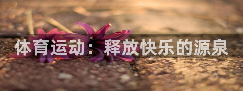 谈球吧体育官网