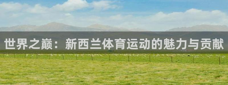 谈球吧体育官网