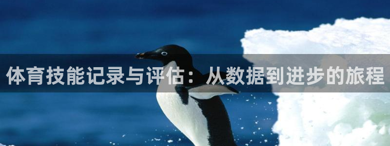 谈球吧