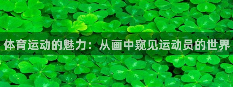 谈球吧体育官网