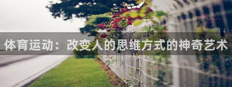 谈球吧体育：体育运动：改变人的思维方式的神奇艺术