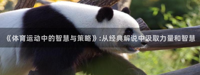 谈球吧体育：《体育运动中的智慧与策略》:从经典解说中汲取力量和智慧