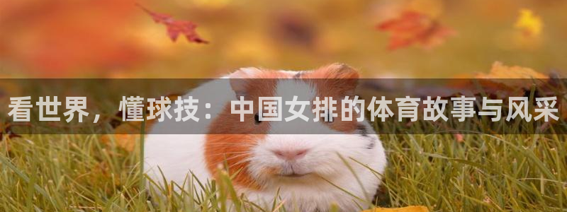 谈球吧体育：看世界，懂球技：中国女排的体育故事与风采