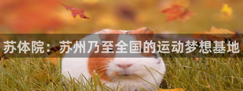谈球吧：苏体院：苏州乃至全国的运动梦想基地