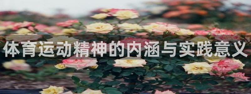 谈球吧体育官网：体育运动精神的内涵与实践意义