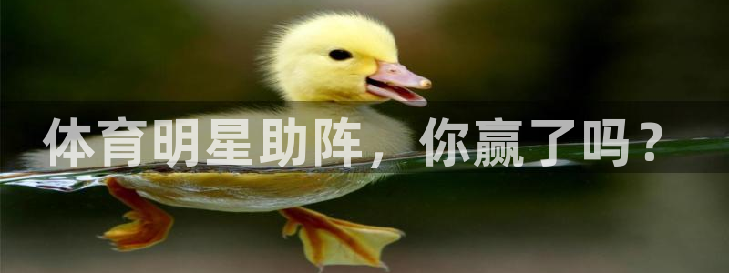 谈球吧：体育明星助阵，你赢了吗？